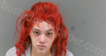 JEAN, SAVANNAH ROSE | 2026-03-10 16:00:00 Mcdowell County, West Virginia Booking