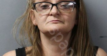 HAYS, AMANDA R | 2026-03-10 19:52:00 Wayne County, Illinois Booking