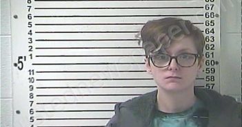 VAN WINKLE, BRITTANY TESSA RENE | 2026-03-11 16:04:00 Hardin County, Kentucky Booking