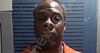 CHAVIS, LAMAR | 2026-03-11 18:20:00 Dallas County, Arkansas Booking