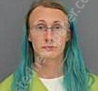 MELTZER, VIOLET MADELINE | 2026-03-11 Medina County, Ohio Booking