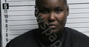 <B>WILLIAMS</B>, <B>ITASHA</B> <B>MICOLE</B> #, Brunswick County, North Carolina - 2026-03-11