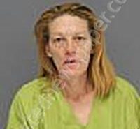 BAKER, JOY HILLARY | 2026-03-12 Medina County, Ohio Booking