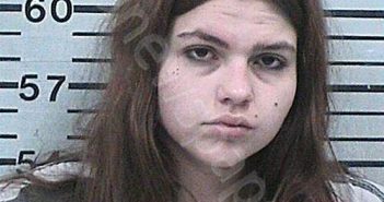 HYSELL, KELSEY RENEA | 2026-03-12 02:06:30 Hood County, Texas Booking