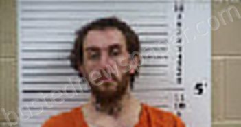 REAGAN, ANTHONY WAYNE | 2026-03-12 15:52:00 Cherokee County, North Carolina Booking