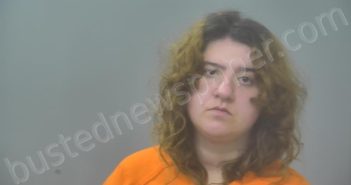 VILLENEUVE, CHEYENNE MARIE | 2026-03-13 20:04:00 Alpena County, Michigan Booking