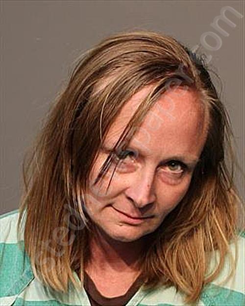 HASELBY, JANELLE LYNN #, Polk County, Iowa - 2026-03-13 10:43:07