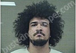 ALVAREZ, ROBERTO | 2026-03-13 Harnett County, North Carolina Booking