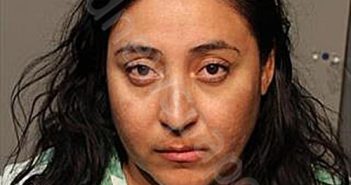 CHAVARRIA, LUCERO | 2026-03-13 03:47:11 Polk County, Iowa Booking