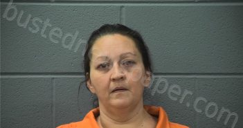 ROBERTSON, ROBIN FRANCISCA | 2026-03-13 01:34:00 Cass County, Indiana Booking