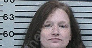 HARP, HANNAH CHERIE | 2026-03-14 04:10:39 Hood County, Texas Booking
