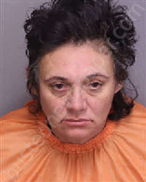 KISAMITAKIS, NICOLE MARIE #, Florence County, South Carolina - 2026-03-14 09:52:00