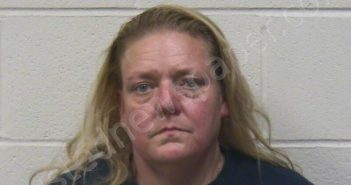 WOODRUM, CHRISTINA M | 2026-03-14 11:40:00 Stewart County, Tennessee Booking