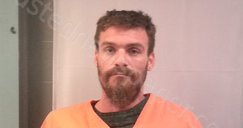 BUSSEY, LEROY DUANE | 2026-03-15 09:30:00 Preston County, West Virginia Booking