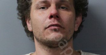 LANE, BLAKE H | 2026-03-15 15:31:00 Wayne County, Illinois Booking