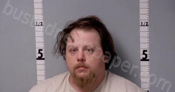 WING, TRAVIS JON | 2026-03-15 02:39:00 Gratiot County, Michigan Booking