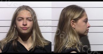PEHL-BELLINO, LOGAN PRESLEY | 2026-03-16 Gillespie County, Texas Booking