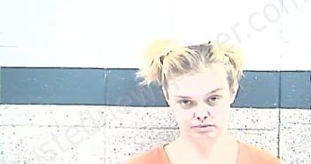 AUSTIN, SARA ELIZABETH | 2026-03-17 11:50:00 Breckinridge County, Kentucky Booking