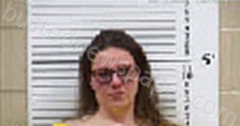 KINNEL, FELICIA MARIE | 2026-03-17 17:11:00 Cherokee County, North Carolina Booking