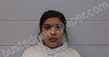 LESLIE JARAMILLO | 2026-03-17 15:32:00 Greene County, North Carolina Booking
