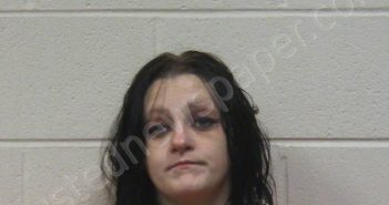 TULEY, JESSICA L | 2026-03-17 10:29:00 Stewart County, Tennessee Booking