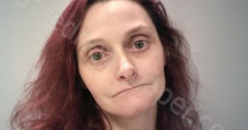 TASKER, TERRI LYNN | 2026-03-17 17:55:00 Preston County, West Virginia Booking