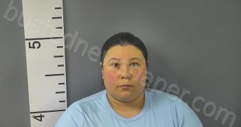 METCALF, SERINE DAWN | 2026-03-17 23:33:00 Nelson County, Kentucky Booking