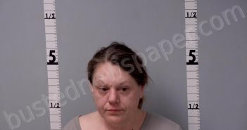 SOUTH, JULIE DIANE | 2026-03-18 21:40:00 Gratiot County, Michigan Booking
