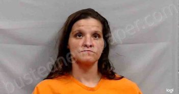 HIGHLANDER, ROCHELLE DAWN | 2026-03-18 15:00:00 Greenbrier County, West Virginia Booking