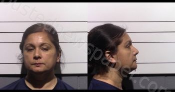 SOLIS, DELIA GONZALES | 2026-03-18 Gillespie County, Texas Booking