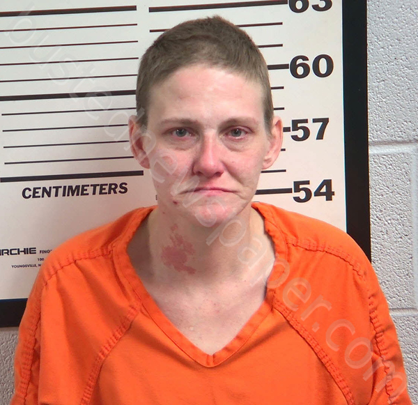 SMITH, MOLLIE ELIZABETH #, Jackson County, North Carolina - 2026-03-19 19:01:00