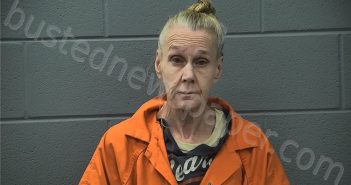 YOUNG, LESA ANN | 2026-03-19 12:42:00 Cass County, Indiana Booking