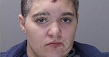 LINDENAU, ALYNA | 2026-03-19 16:44:00 Wayne County, New York Booking