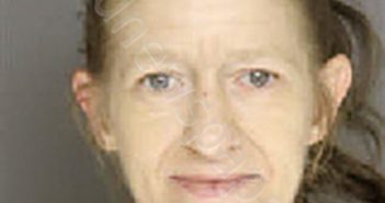 VANKELL, ANGELA MARIE | 2026-03-19 00:10:00 Moore County, North Carolina Booking