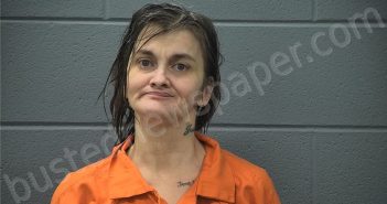 BURDINE, AMANDA MICHELLE | 2026-03-19 12:19:00 Cass County, Indiana Booking