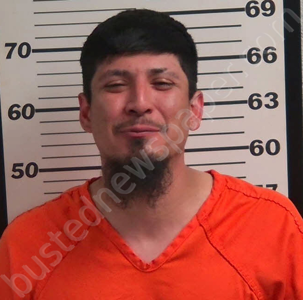 SILVA-VERA, FERNANDO ANTONIO #, Jackson County, North Carolina - 2026-03-19 21:13:00