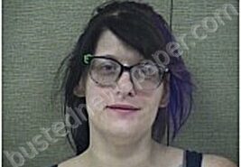 JOHNSON, DESTINY | 2026-03-20 Harnett County, North Carolina Booking