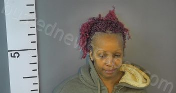 SHACKELFORD, NATYRA SHEREE | 2026-03-20 00:08:00 Nelson County, Kentucky Booking