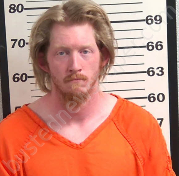 WILLIAMSON, TANNER LEE #, Jackson County, North Carolina - 2026-03-20 15:26:00