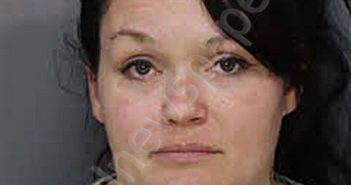 BARNETT, SARAH DANIELLE | 2026-03-20 16:58:00 Jefferson County, Tennessee Booking