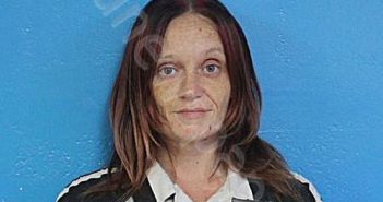 BANDY, MASHALIA NICOLE | 2026-03-20 23:44:12 Sullivan County, Tennessee Booking