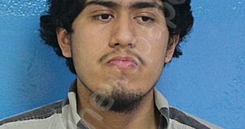 NAVA, STEVEN CEDILLO | 2026-03-20 13:36:00 Sullivan County, Tennessee Booking