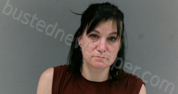 BROWN, CHRISTI MICHELLE | 2026-03-20 19:30:00 Mingo County, West Virginia Booking