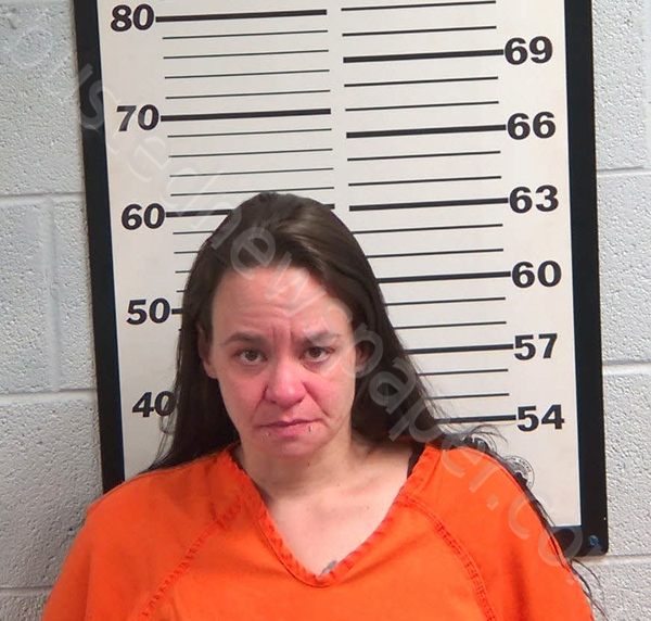 HUNNICUTT, CARRIE MARIE #, Jackson County, North Carolina - 2026-03-20 21:44:00