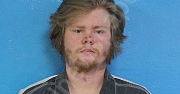 BRUMMITT, ISAIAH JORDAN | 2026-03-20 03:55:00 Sullivan County, Tennessee Booking