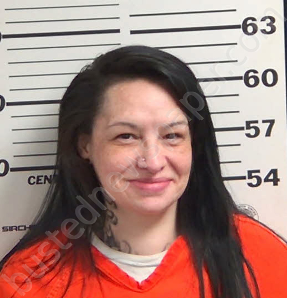 BRADLEY, RASHONDA LESHAE #, Jackson County, North Carolina - 2026-03-20 15:58:00