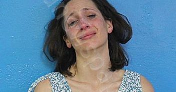 ALLERTON, KELSEY LYNN | 2026-03-20 01:07:00 Sullivan County, Tennessee Booking