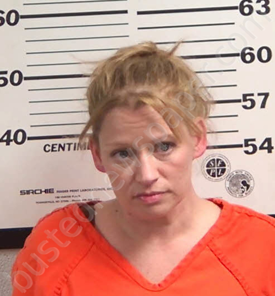 WILKEY, MICA LYNN #, Jackson County, North Carolina - 2026-03-20 12:58:00