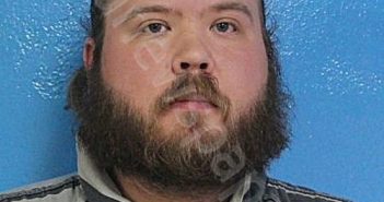 HELTON, JAMES STEELE | 2026-03-21 22:31:00 Sullivan County, Tennessee Booking