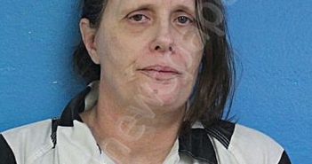 CHAPMAN, CYNTHIA DENSIE | 2026-03-22 23:02:00 Sullivan County, Tennessee Booking